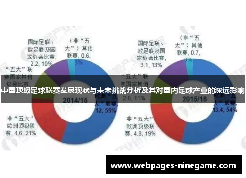 中国顶级足球联赛发展现状与未来挑战分析及其对国内足球产业的深远影响